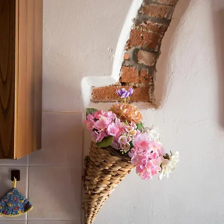 Farm stay Poggio Primo - Bilocale Vermiglio *